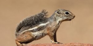 The Canyon Classroom 6