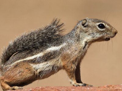 The Canyon Classroom 6