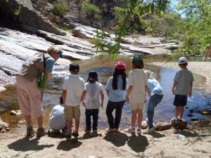 Elementary Program 5