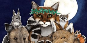 Kits - Kindergarten 2